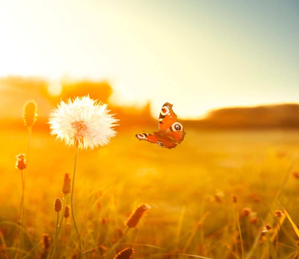 Glückszeit mit wunderschönen Übungen